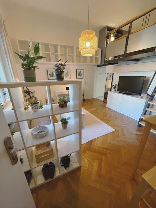 Stefanka Apartment Old Town Bratislava Esterno foto